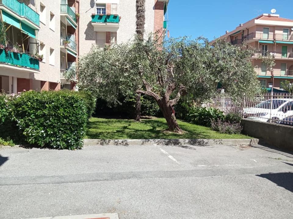 Nonna Pella Appartamenti - Corbezzolo Pietra Ligure Oda fotoğraf